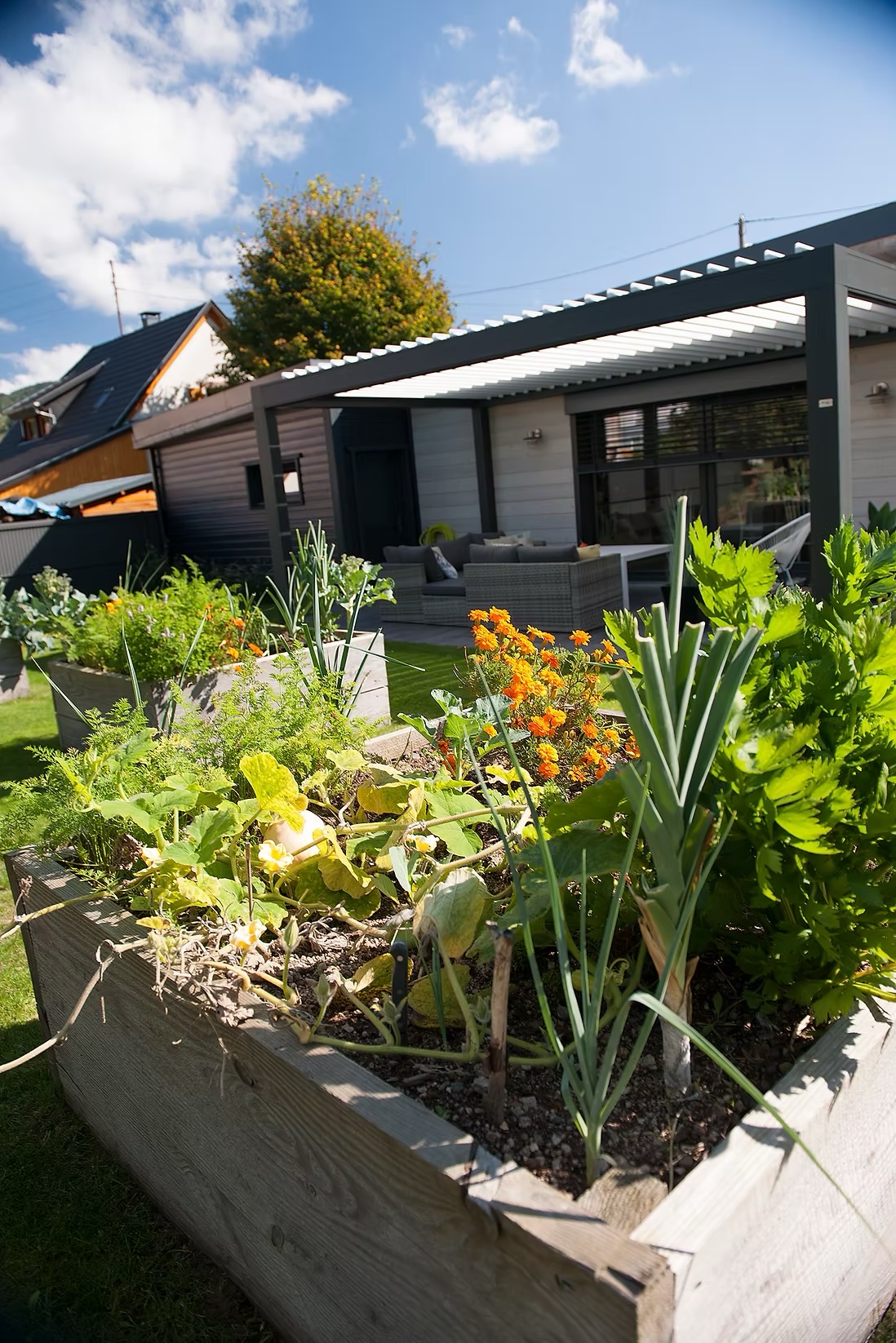 b080eb_db8141dd6bf14ec7be8f88d05ede8f2f~mv2_d_1575_2362_s_2